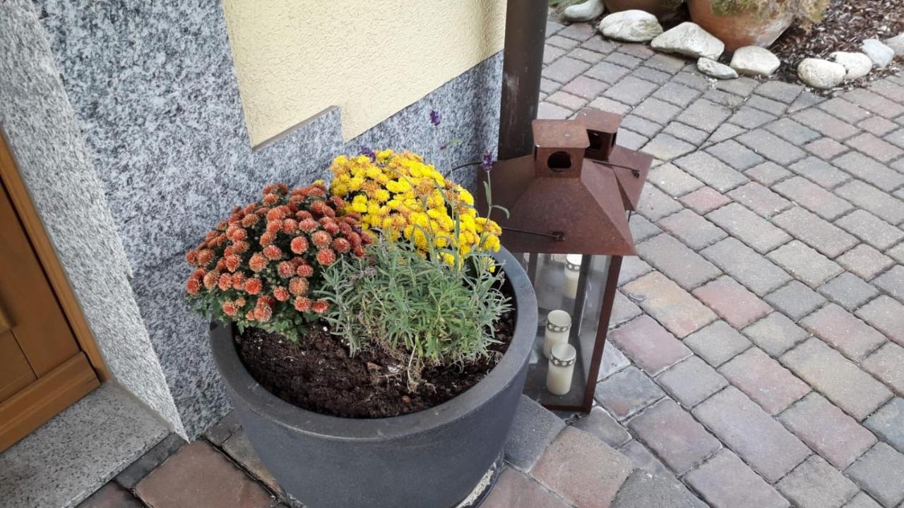 Ferienwohnung Leipzig Land Naunhof Eksteriør billede